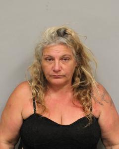 Camille Aldorasi, age 51, charged with 10 drug offenses.