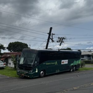 Large green bus rolled backwards into utility pole and snapped pole in half.