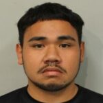Kainalu Palik