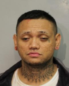 Kapono Ikaika-Cruiuz Labrador